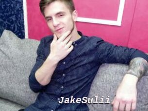 JakeSulii