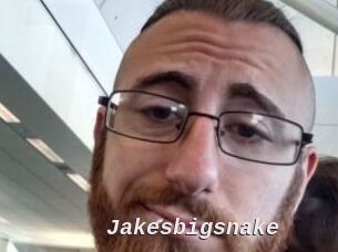 Jakesbigsnake
