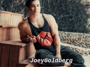 JoeyGoldberg