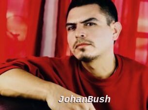 JohanBush