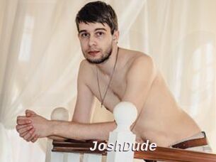 JoshDude