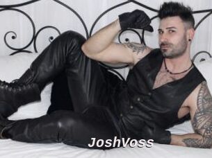 JoshVoss