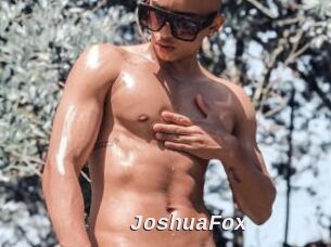 JoshuaFox