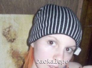 Jackalope