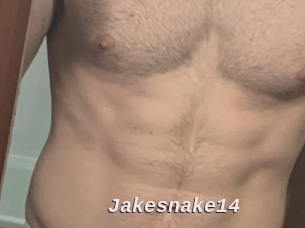 jakesnake14 Live Camgirls Sex
