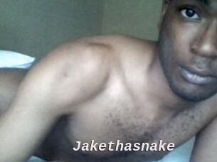 Jake_tha_snake