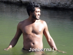 joebernal Live Camgirls Sex