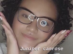 Juniper_camrose