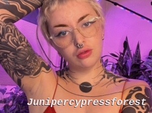 Junipercypressforest