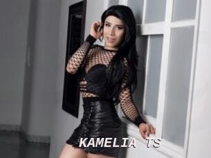 KAMELIA_TS