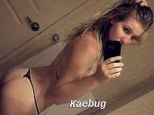Kaebug