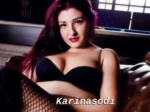 Karinasodi