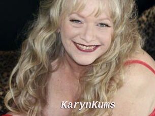 KarynKums