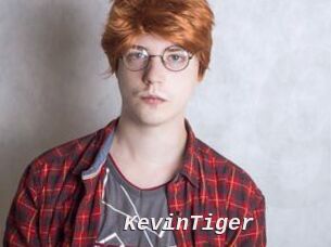 KevinTiger