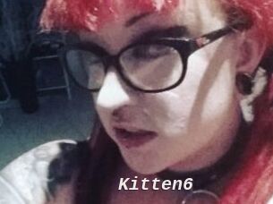 Kitten6
