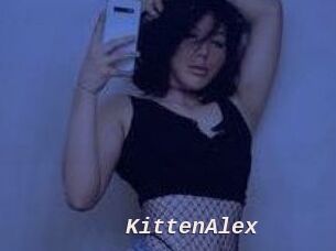 KittenAlex
