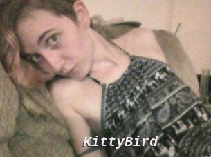 KittyBird