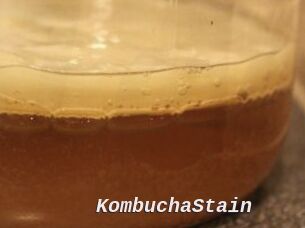KombuchaStain
