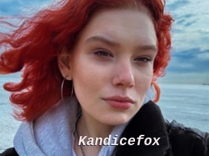Kandicefox