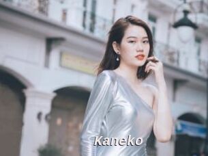 Kaneko