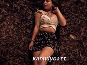 Kanndycatt
