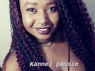 Kannel_passie