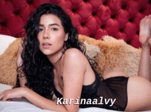 Karinaalvy
