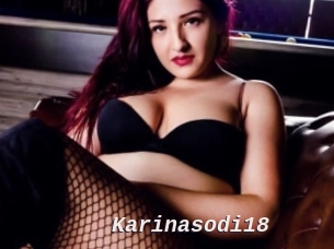 Karinasodi18