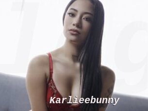Karlieebunny