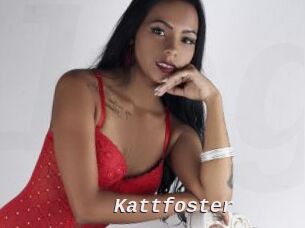 Kattfoster
