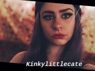 Kinkylittlecate