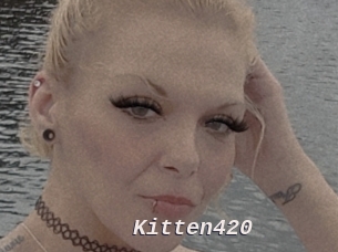 Kitten420