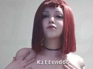 Kitten666