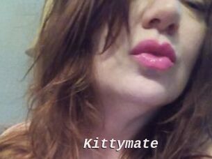 Kittymate