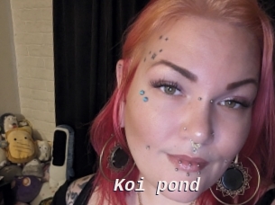 Koi_pond