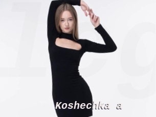 Koshechka_a