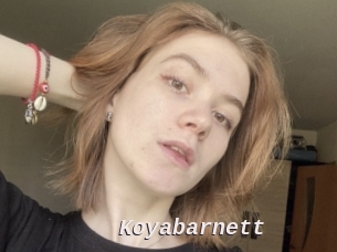 Koyabarnett