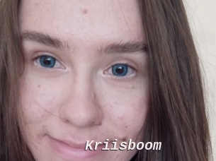 Kriisboom