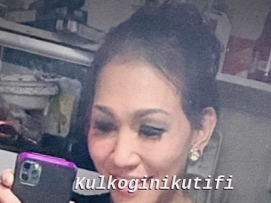 Kulkoginikutifi
