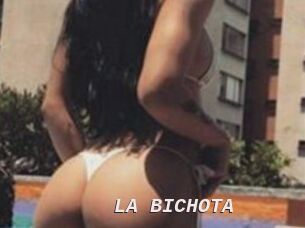 LA_BICHOTA