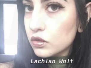 Lachlan_Wolf