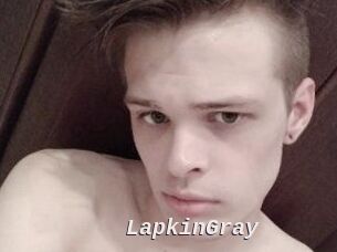 LapkinGray