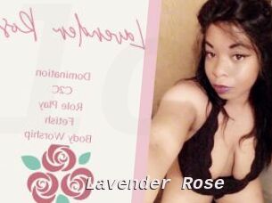 Lavender_Rose