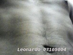 Leonardo-07105004