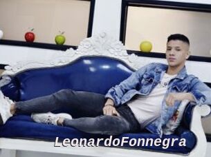 LeonardoFonnegra