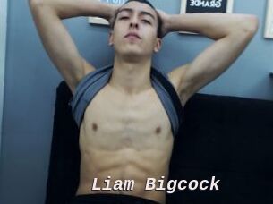 Liam_Bigcock