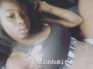 LiddoBit