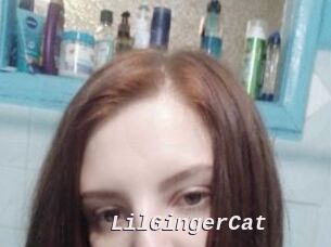 LilGingerCat