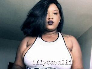 Lily_Cavalli
