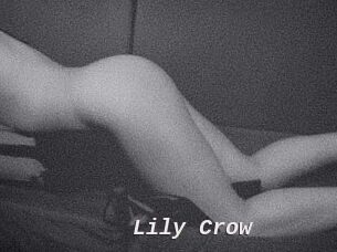 Lily_Crow